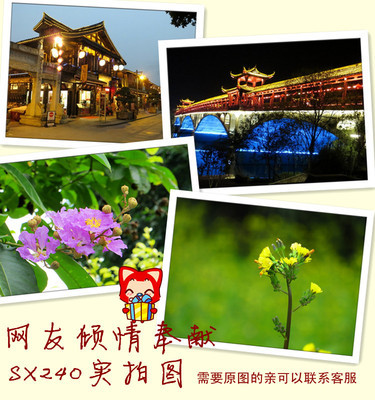 【供应照相机佳能 PowerShot SX240 HS 数码照相机 长焦卡片机】价格,厂家,图片,普通数码相机,广州诺彩数码产品-